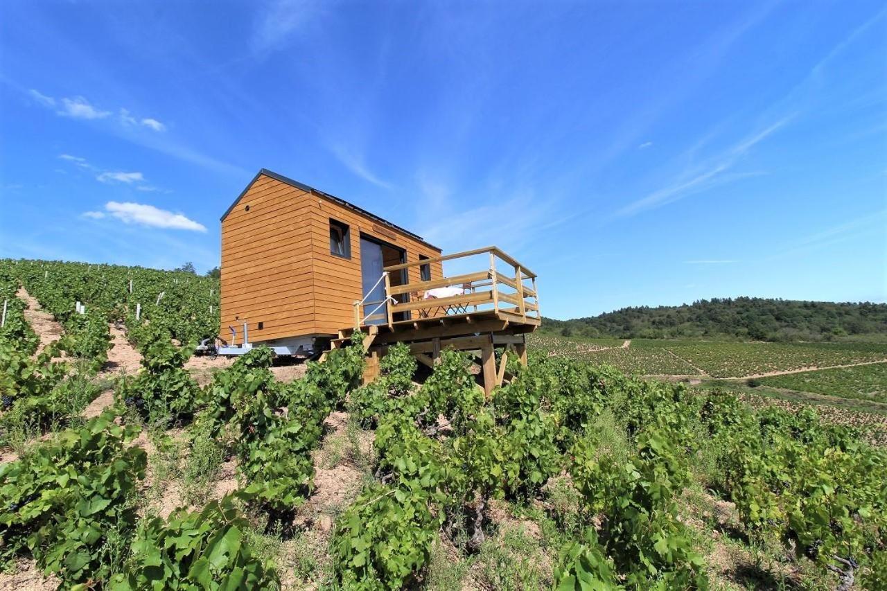 Tiny House Au Coeur Du Vignoble Beaujolais Гостевой дом Флёри, Франция